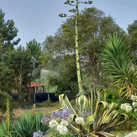 Canto Azul Vakantiehuis Casal da Carreira