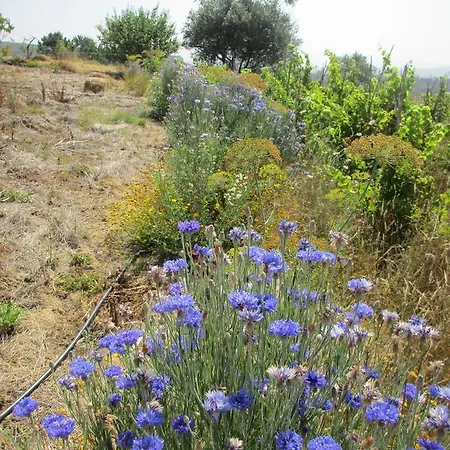 Canto Azul * Casal da Carreira
