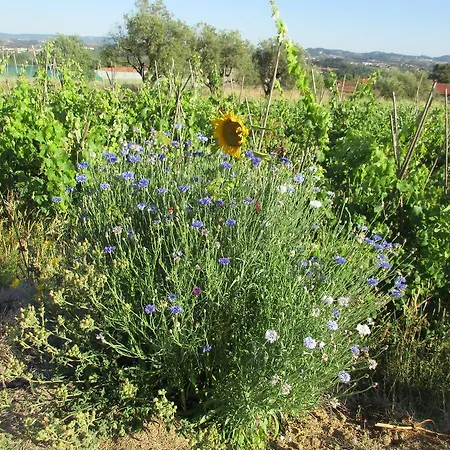 Canto Azul Vakantiehuis