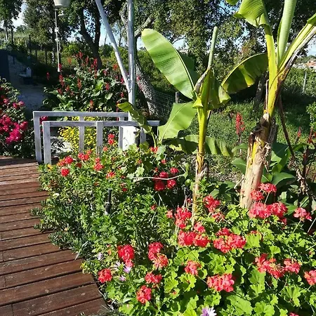 Canto Azul * Casal da Carreira