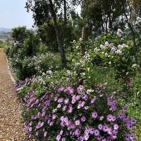 Canto Azul * Casal da Carreira