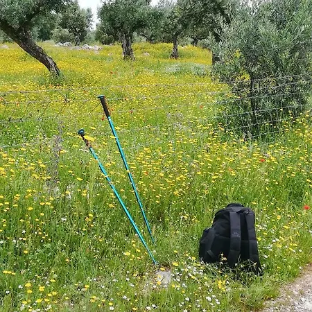 Vakantiehuis Canto Azul