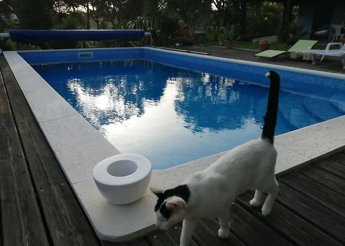 Canto Azul Tatil Evi Casal da Carreira