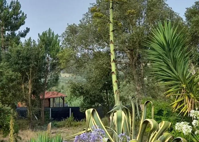 Canto Azul Tatil Evi Casal da Carreira