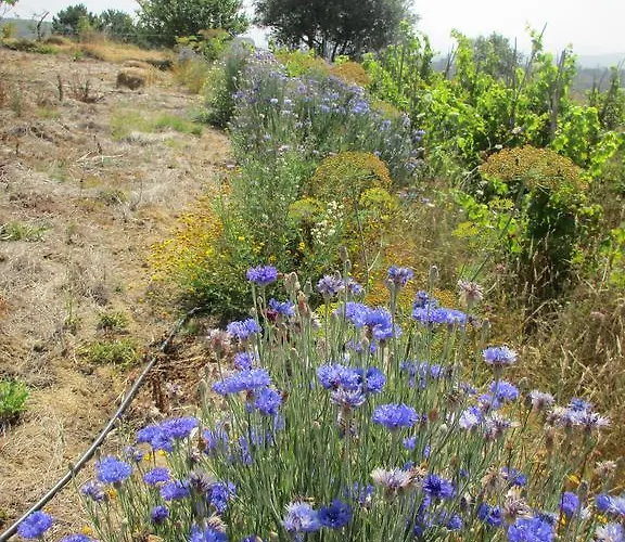 Canto Azul * Casal da Carreira