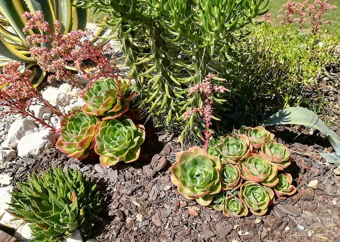 Tatil Evi Canto Azul *